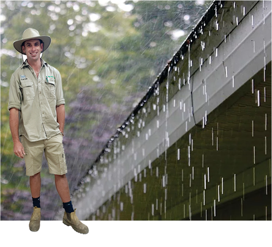 Gutters Downpipes & drainage Gutters Downpipes & drainage